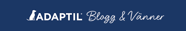 Adaptil Blogg & Vänner